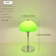 Modern Mushroom USB Table Lamp with Acrylic Shade