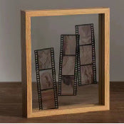 Modern Double-Sided Glass Frame for Displaying Plants